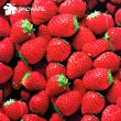 画像5: 3RDWARE★Strawberry (5)