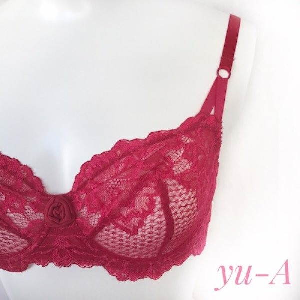 画像5: JOLIDON ★ROSU 1枚レースブラ&ショーツセット (5)