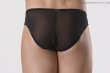 画像2: HommeMystere オムマイステール★SHEER panty brief メンズ (2)