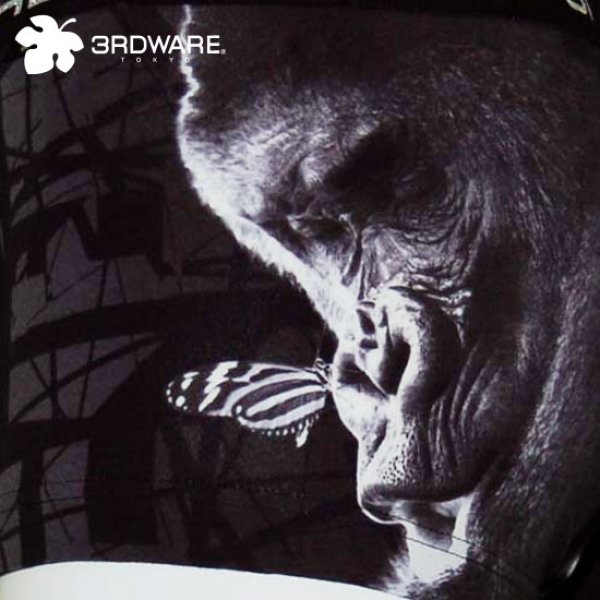画像7: 3RDWARE★GORILLA (7)