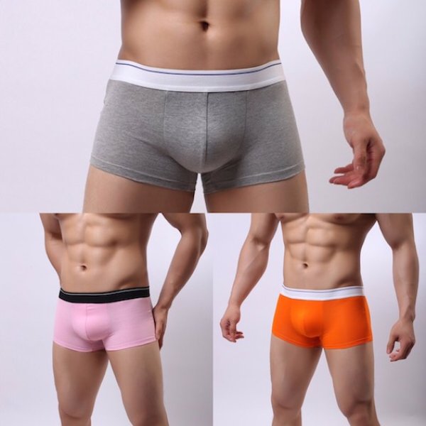 画像3: シンプルボクサーパンツ グレー メンズ (3)